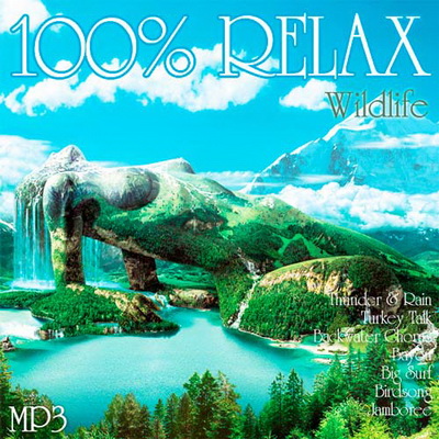 Relax/Релакс, Скачать Бесплатно 100% Relax - Wildlife (2012)
